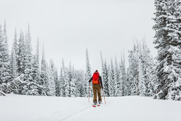 Solo female skier skins off into the trees during a snowy winter day