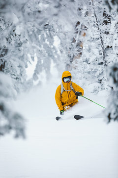 skier bro in yellow jacket makes powder turns in white forest