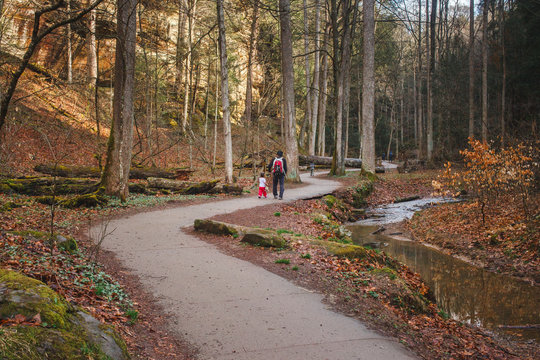 Long view of a father hiking with his small children on path in woods