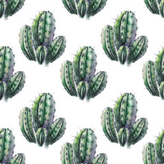 Seamless pattern with green cactuses. Watercolor on white background.