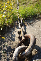 rusty iron chain - old steel chain für ships on a riverbank, sunny day