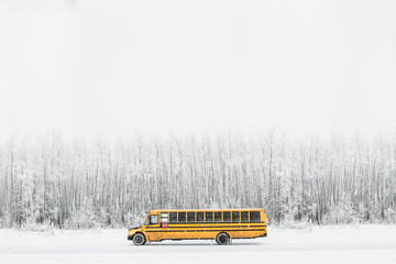 Yellow School bus parked in front of snowy forest in Winter in Canada
