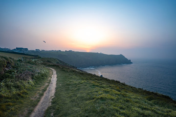 wild flowers along the road to the ocean