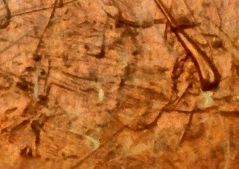 Weathered abstract grunge texture. Background with paint strokes and splashes. Pattern with dirty and blots elements. Retro oil style. Simple closeup template for graphic design