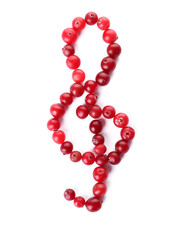 Treble clef made of cranberries on white background, top view. Musical notes