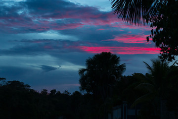 Fototapeta premium sunset at the beach