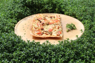 Pizza im Thymianfeld
