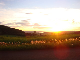 Fim e tarde Fantástico 07