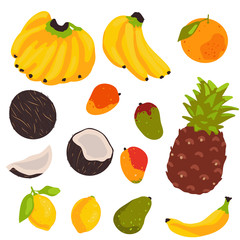 tropical fruit collection isolated on white background