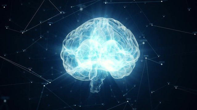 The human brain rotates formed of luminous particles. Plexus structure revolving around. Seamless loop 4k animation