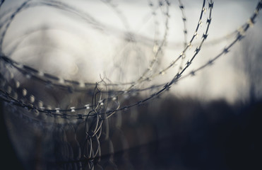 Abstract blurred background with barbed wire.