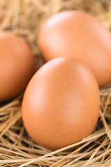 Fresh raw brown eggs on hay (Selective Focus, Focus on the front of the first egg)