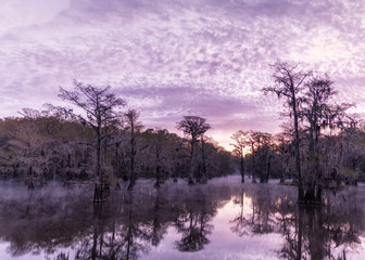 Bright sunrise at Caddo Lake with bald cypress in fog