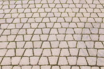 Paving stone. Close-up. Background. Texture.
