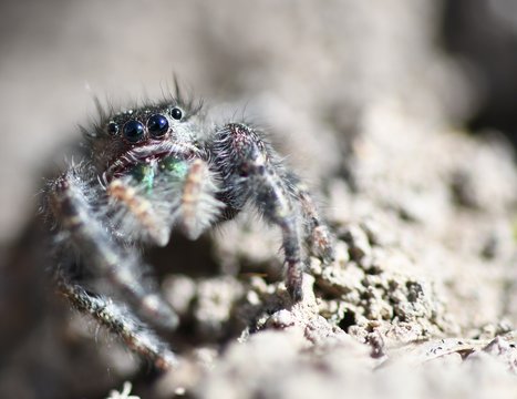 Bold Jumper