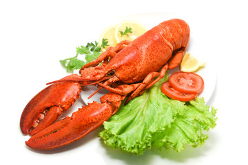 Lobster isolated seafood delicious on white plate with lemon coriander and salad lettuce / Close up of steamed lobster food