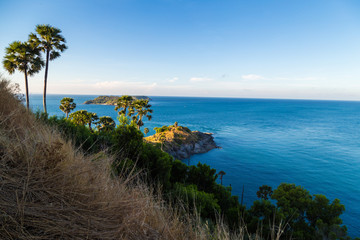 Sea coastline island with palm tree blue sky