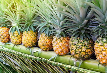 Fresh pineapple tropical fruit on the bamboo for sale in the market