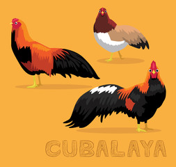 Chicken Cubalaya Cartoon Vector Illustration