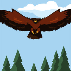 Obraz premium beautiful eagle flying in the landscape majestic bird