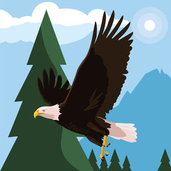 beautiful bald eagle flying in the landscape