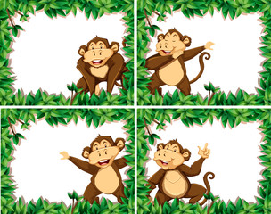 Set of monkeys in nature frames