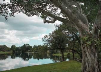 Landscape Park in Miami 