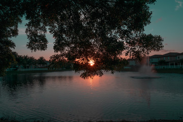 Sunset Landscape in Miami 