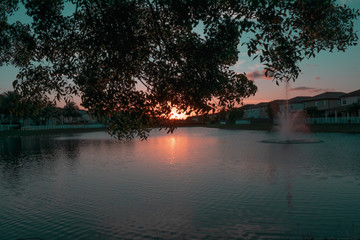 Sunset Landscape in Miami 