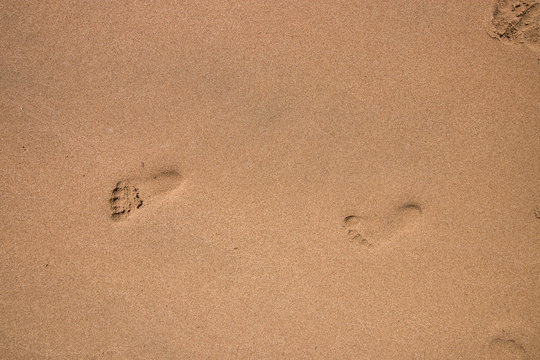 cildren footprints in the sand 