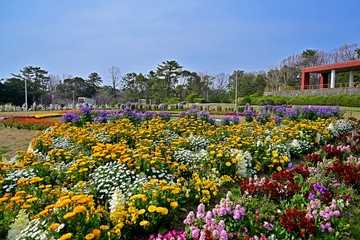 春の花が咲き乱れる公園の情景