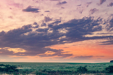 paisagens ao entardecer na fazenda