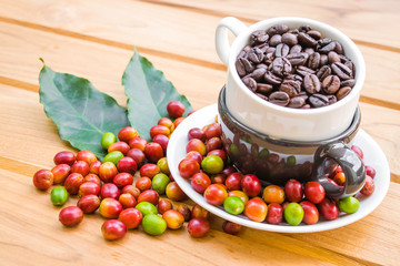 Roasted coffee beans and red ripe coffee beans