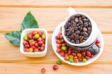 Roasted coffee beans and red ripe coffee beans