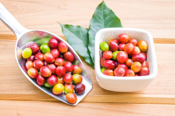 Red ripe coffee beans with green leaf