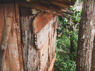 animais de fazenda vacas galinhas e cavalos