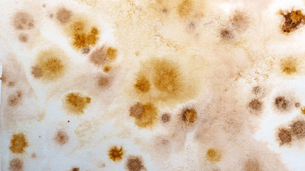 Abstract brown watercolor background. Splashes and strokes. High resolution texture. Modern Art. Hand drawing. Elements for creating brushes and textures.