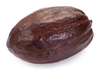 Cocoa pod on white background