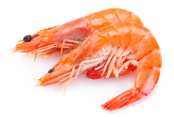 Cooked shrimp on white background