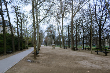 Luxembourg gardens in winter