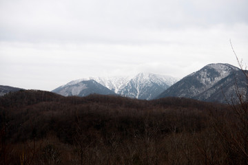 山