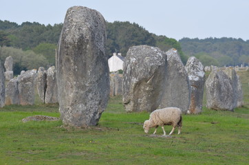 Prehistorics Menhirs du Menec, Carnac, Bretagne, France