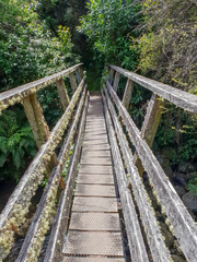 Fototapeta premium old wooden bridge in the forest