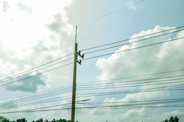 Row of electricity pole on green nature road in Thailand, Transmission line of electricity to...