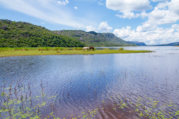 landscape with lake and sky