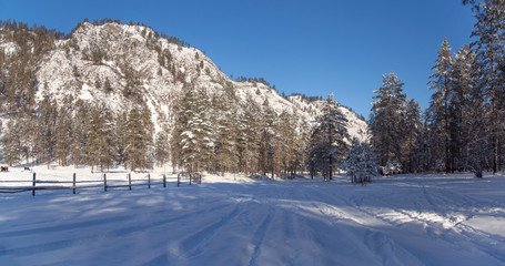Fototapeta na wymiar Winter snow-covered and frosty Altai. Altai blue eyes