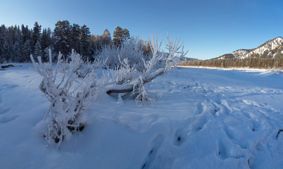Winter snow-covered and frosty Altai. Altai blue eyes