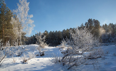 Winter snow-covered and frosty Altai. Altai blue eyes