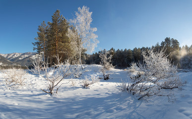 Winter snow-covered and frosty Altai. Altai blue eyes