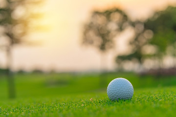 Golf ball on green grass ready to be shot at golfcourt